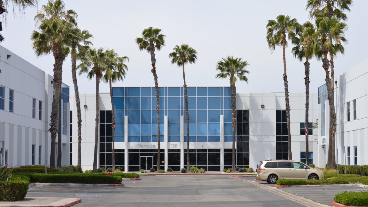 Contemporary glass office building with palm trees and parking lot in daylight
